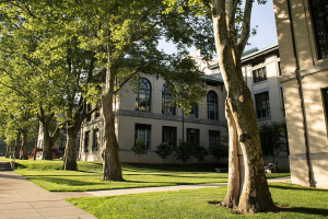 Shade trees outside Baker Hall