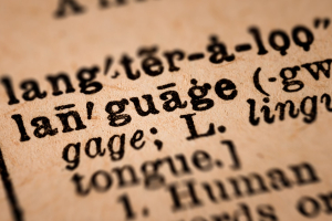 Dictionary definition of "language"