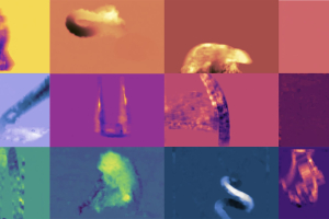 Colorful images of what a brain sees