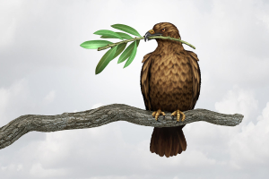 A graphic of a bird on a branch holding e piece of greenery in its beak